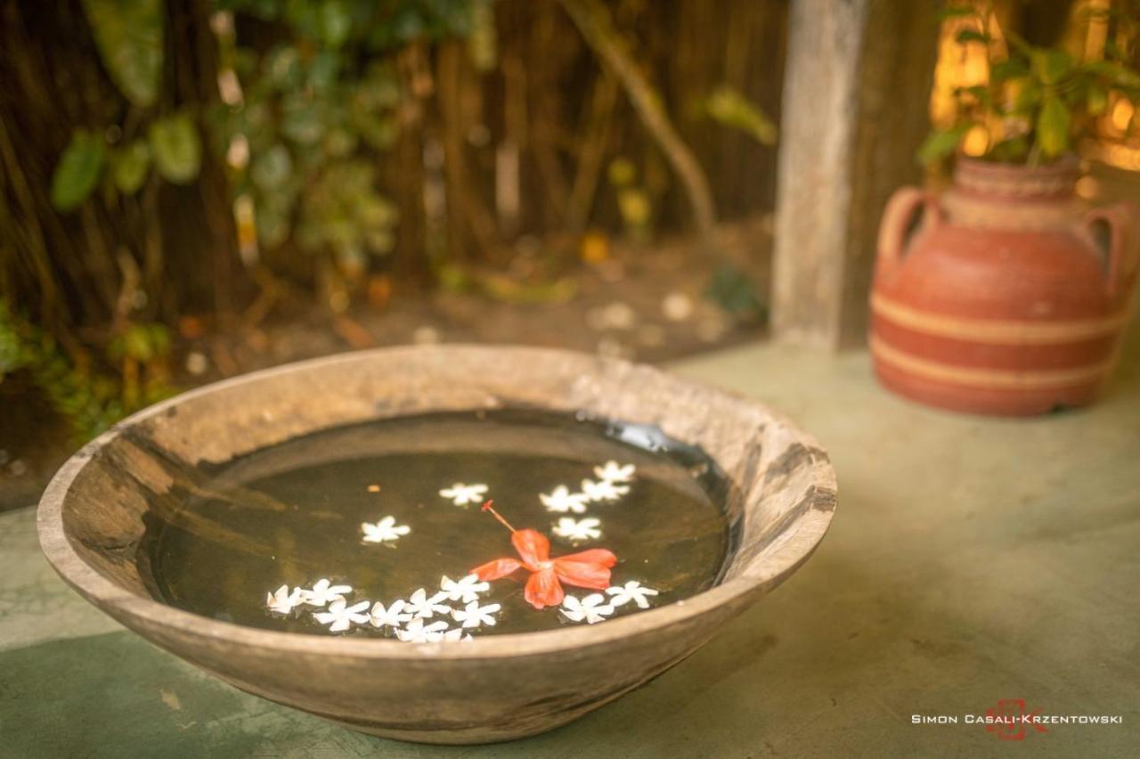 Pousada Spa Oasis การาอิวา ภายนอก รูปภาพ